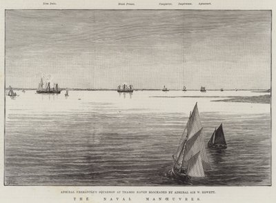 The Naval Manoeuvres by Warry